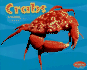 Crabs (Under the Sea)