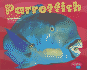 Parrotfish (Pepple Plus; Under the Sea)