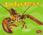 Lobsters (Pebble Plus)