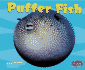 Library Book: Puffer Fish (Rise and Shine)