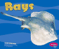 Rays (Pebble Plus)