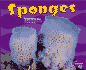 Sponges (Pebble Plus)