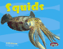 Squids (Pebble Plus)