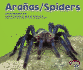 Aranas/Spiders (Pebble Plus Bilingual) (Spanish and English Edition)