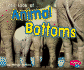 Let's Look at Animal Bottoms (Pebble Plus)