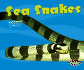 Sea Snakes (Pebble Plus: Under the Sea)