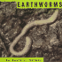Earthworms (Animals)