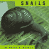 Snails (Animals)