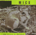 Mice (Animals (Mankato, Minn.). )