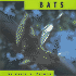 Bats (Animals)