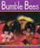 Bumble Bees (Pebble Books, Insects)