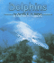 Dolphins (Ocean Life Series)