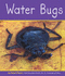 Water Bugs
