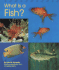 What is a Fish?