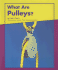 What Are Pulleys? (Looking at Simple Machines)