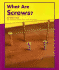 What Are Screws?
