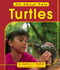 Turtles (All About Pets)