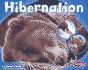 Hibernation (Patterns in Nature)