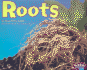 Roots (Plant Parts)