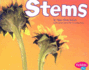 Stems (Plant Parts)