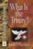 What is the Trinity? (Examine the Evidence�)