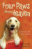 Four Paws From Heaven