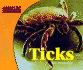 Ticks (Parasites)