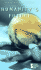Humanity's Future (Opposing Viewpoints)