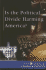 Is the Political Divide Harming America? (at Issue)