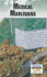 Medical Marijuana (Current Controversies)