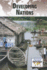 Developing Nations (Current Controversies)