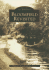 Bloomfield Revisited