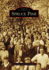 Spruce Pine