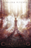 The Last Changeling