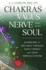 Chakras, the Vagus Nerve, and Your Soul: Journeying to Wellness Through Subtle Energy and Your Nervous System (Chakras and the Vagus Nerve, 2)