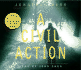 A Civil Action
