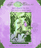 Disney Fairies Collection #5: Tink, North of Never Land; Beck Beyond the Sea: Book 9 & 10