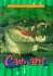 Caimans (Fisher Price: Animals of the Rainforest)