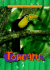 Toucans (Animals of the Rain Forest)