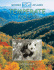 Temperate Forests (Biomes Atlases)