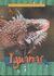 Iguanas (Animals of the Rain Forest)