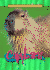 Capybaras (Animals of the Rain Forest)