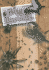 Bug Business: Grades 6-8: Leveled Readers (Steck-Vaughn Power Up! )
