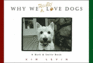 Why We Really Love Dogs