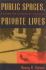 Public Spaces, Private Lives: Beyond the Culture of Cynicism (Culture and Politics Series)