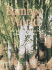 Bamboo World
