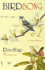 Birdsong