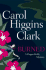 Burned (Regan Reilly Mysteries, No. 8)