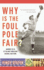 Why is the Foul Pole Fair? : Answers to 101 of the Most Perplexing Baseball Questions