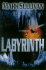 Labyrinth: a Novel of Suspence